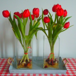 Bloembollen in accubak