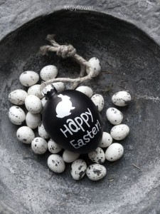 Pasen kievitsei in betonnen schaal