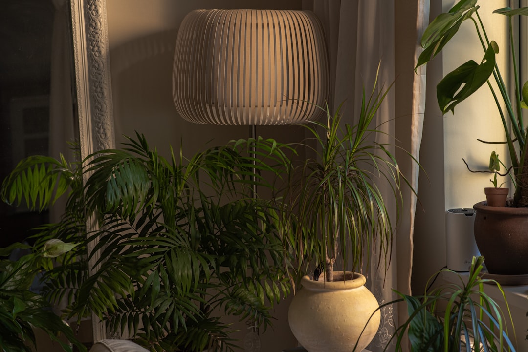 Boho decor living room with plants